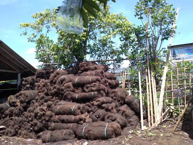 atap ijuk bali3